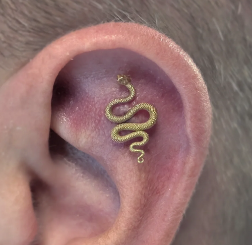 18K Solid Gold Snake End by Anatometal Jewelry