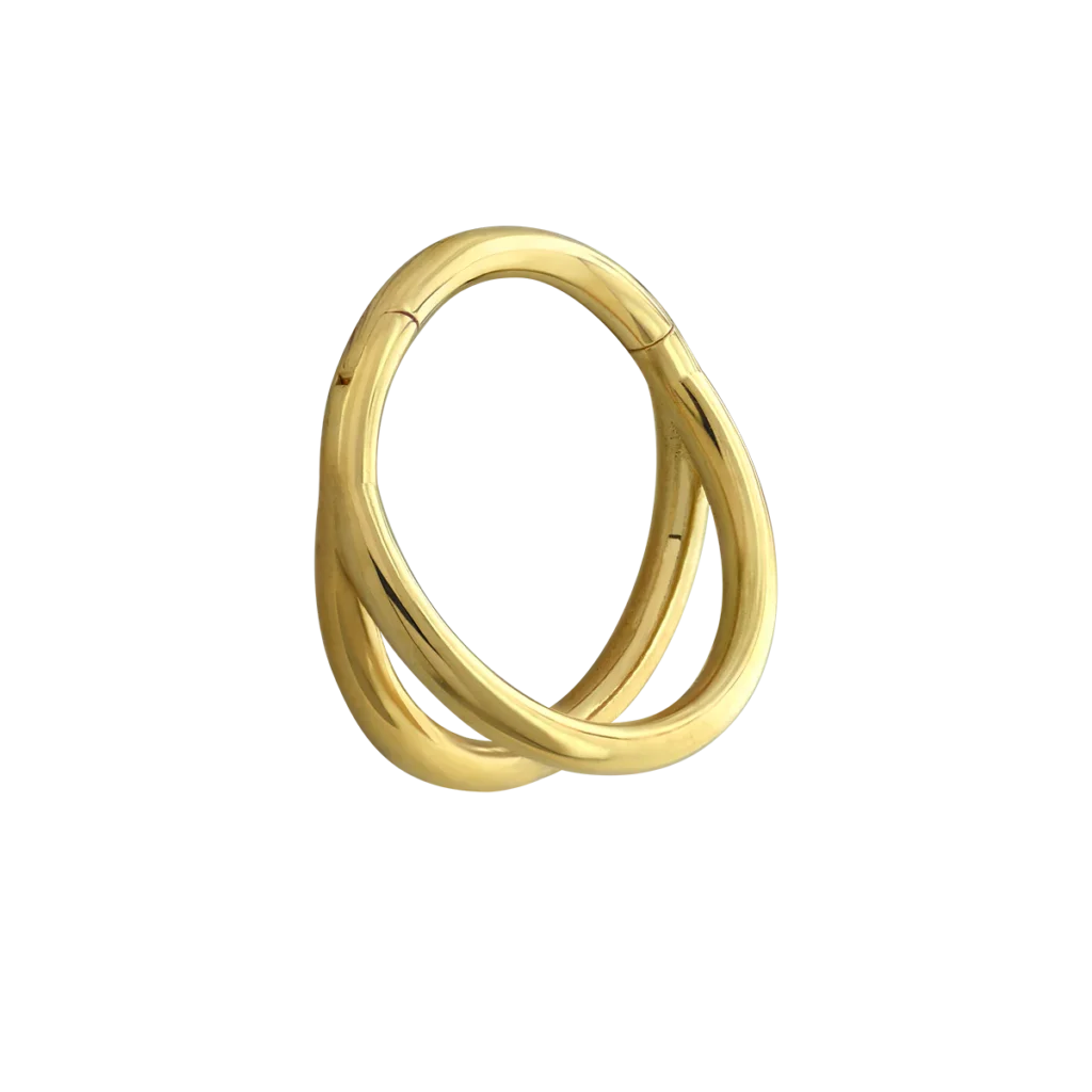 Solid Gold Double Hinged Ring by Anatometal Jewelry