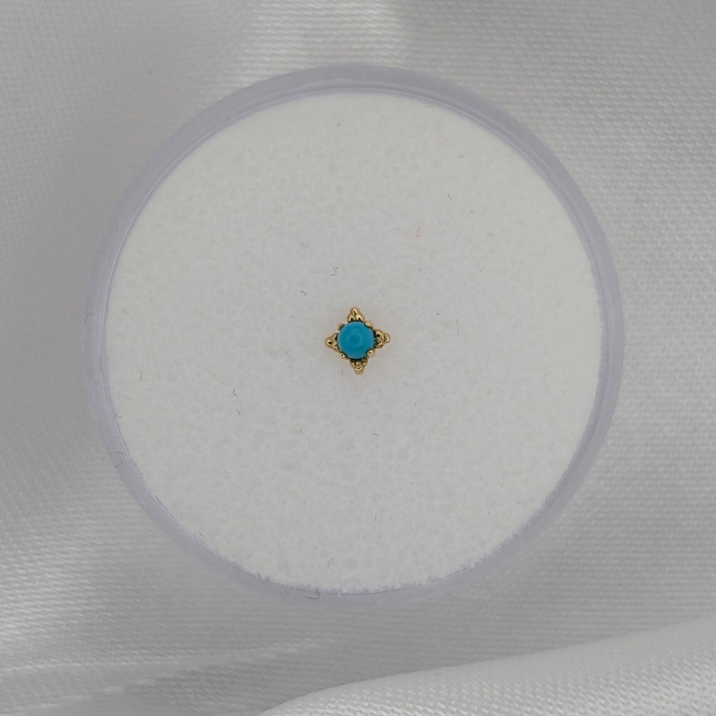 MADE TO ORDER | Anatometal 14K Yellow Gold Zia - Threadless