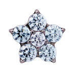 Titanium 5 Gem Flower | Junipurr Jewelry