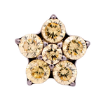 Titanium 5 Gem Flower | Junipurr Jewelry