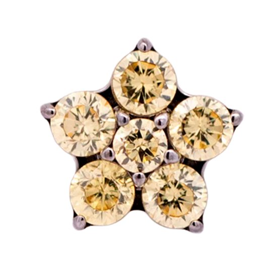 Titanium 5 Gem Flower | Junipurr Jewelry