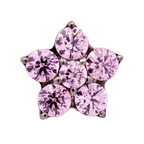 Titanium 5 Gem Flower | Junipurr Jewelry