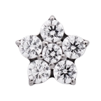 Titanium 5 Gem Flower | Junipurr Jewelry