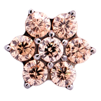 Titanium 6 Gem Flower | Junipurr Jewelry
