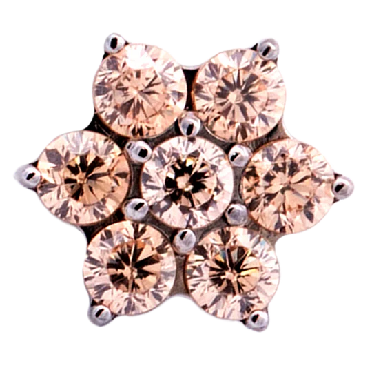 Titanium 6 Gem Flower | Junipurr Jewelry