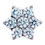 Titanium 6 Gem Flower | Junipurr Jewelry