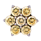 Titanium 6 Gem Flower | Junipurr Jewelry