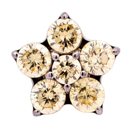 Titanium 5 Gem Flower | Junipurr Jewelry