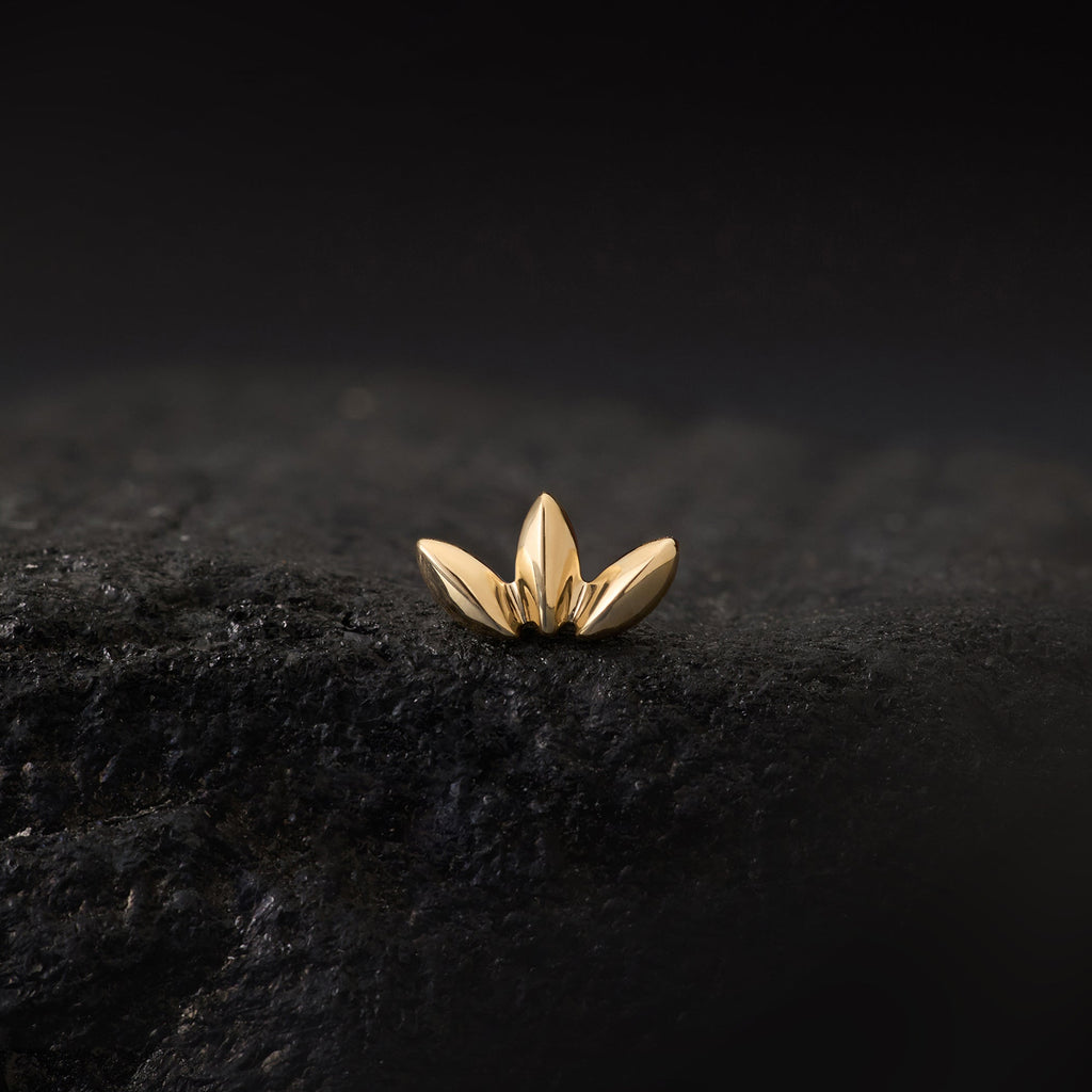 Solace Marquise Fan - Threadless End | Ember Jewelry