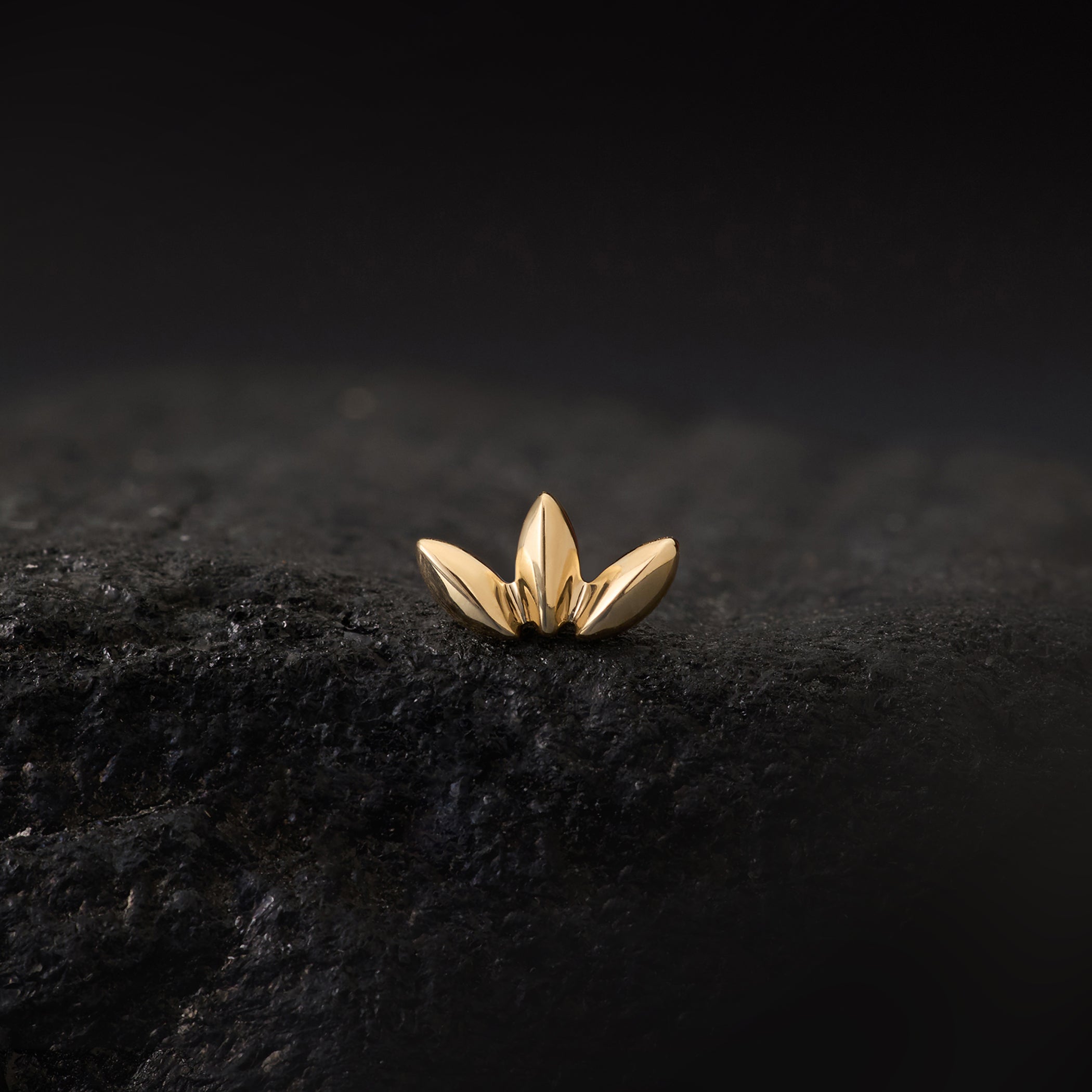 Solace Marquise Fan - Threadless End | Ember Jewelry