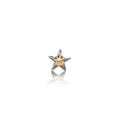 Anatometal | Titanium Gem Star *Threadless*