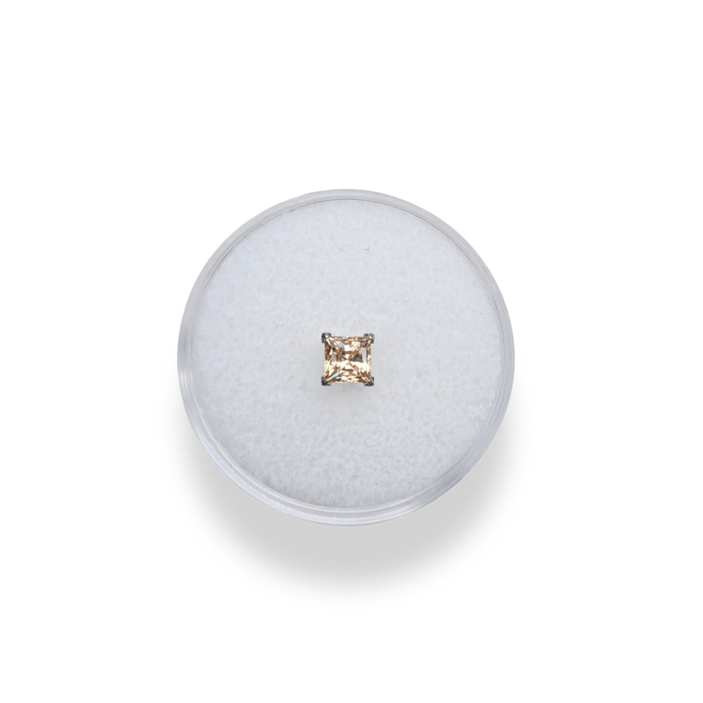 IN STOCK | Titanium Threadless Earring - Champagne Princess Cut Cubic Zirconia 5mm by NeoMetal Jewelry