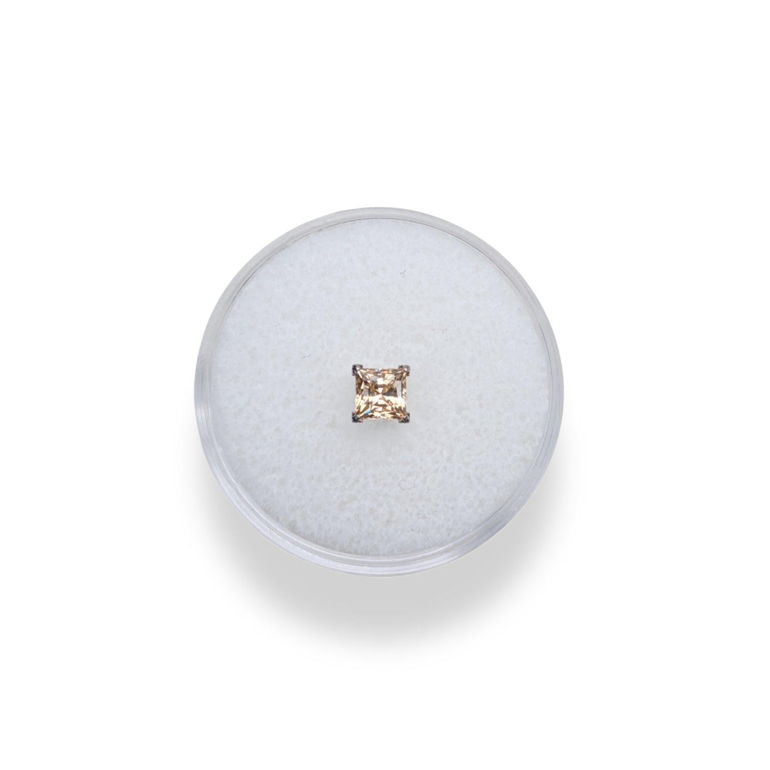 IN STOCK | Titanium Threadless Earring - Champagne Princess Cut Cubic Zirconia 5mm by NeoMetal Jewelry