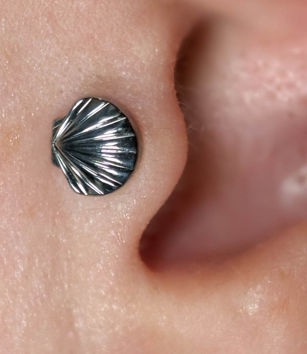 Titanium Threadless Shell End by Junipurr Jewelry