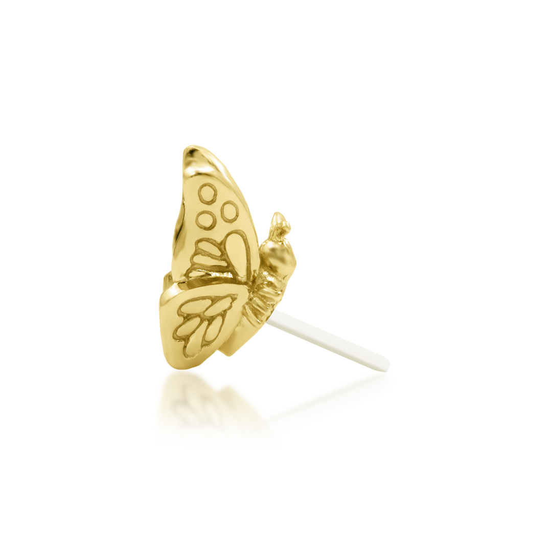QUICK SHIP | 14K Gold 3D 'Madame' Butterfly Threadless End & Titanium Labret Post by Junipirr Jewelry